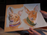 /album/galerie-photos/photo-1152-jpg/